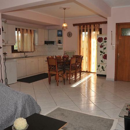 Eagle'S Family Apartment Kalampaka Ngoại thất bức ảnh